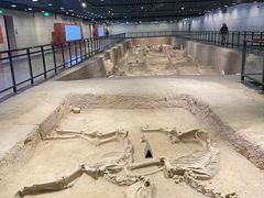 -洛阳周王城天子驾六博物馆