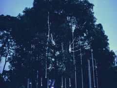 -杭州野生动物世界