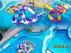-海合安成都极地海洋公园