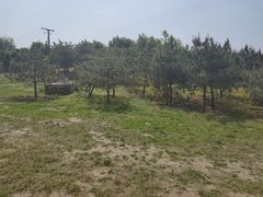 -马家湾湿地公园