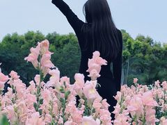 -广东花都香草世界旅游度假区