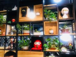 -刺客纹画纹身·洗纹身·穿孔饰品