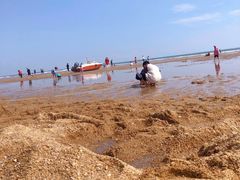 -前王院•巧克力海鲜市集餐厅(万平口店)