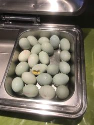 -皇家月府月子中心(沈阳店)