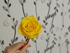 -循礼门鲜花花市(武汉循礼门店)