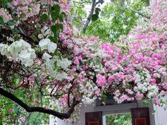 -深圳国际园林花卉博览园