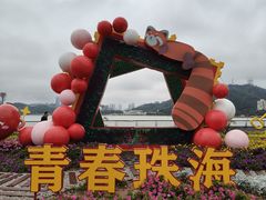 -野狸岛