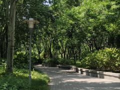 -北极寺公园