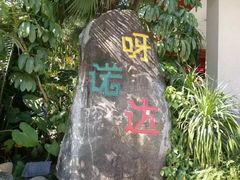 -呀诺达热带雨林