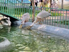 -水上乐园·欢乐世界