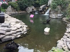 -西安曲江寒窑遗址公园