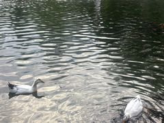 -水磨沟公园