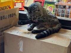 -正阳书局(西四南大街店)