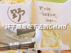 -野人先生Gelato(上海长宁龙之梦店)