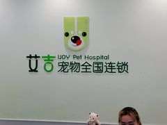 -艾吉宠物医院·疑难杂症转诊中心·猫友好(碧江路院)