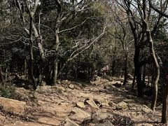 -虞山风景区