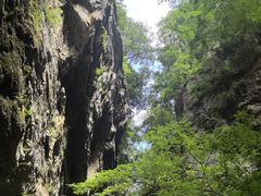 -牛背梁国家森林公园