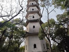-江心屿景区