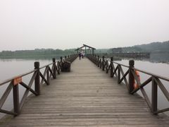 -溱湖国家湿地公园