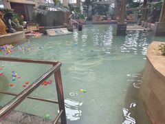 -齐河孔雀王温泉酒店·金孔雀自助百汇