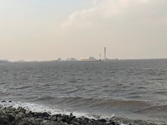 -上海滨江森林公园