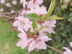 -幕燕滨江·长江观音景区