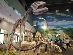 -自贡恐龙博物馆