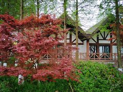 -太阳岛度假酒店