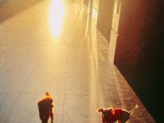-芭比堂动物医院·犬猫全科·异宠专科(雁塔分院)