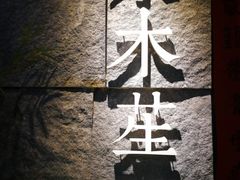 -水木苼 蔬食料理