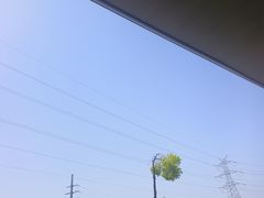 -再回头私房菜·老南京菜