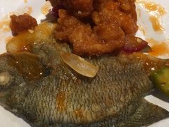 -蒙肥羊·酸汤潮牛·鲜牛肉火锅烤肉自助(岗顶店)