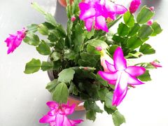 -南通洲际绿博园