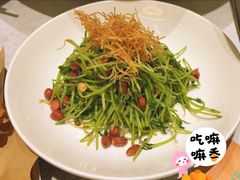 -青花椒花椒鱼(合生汇店)