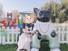 -TIPPI营地 房车主题·露营烧烤团建轰趴(天安假日店)