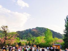 -西安秦岭野生动物园