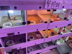 -花鸟鱼虫鲜花绿植市场(玉泉路店)