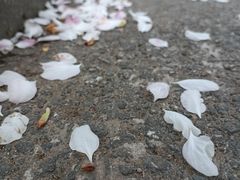 -颐和园西门停车场
