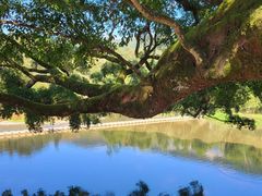 -云水谣景区