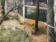 -昆明动物园
