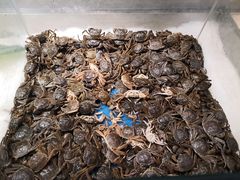 -悦橙烤肉海鲜自助(中央大街店)