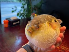 -永安鱼庄·镇江菜(东吴路店)