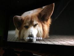 -天幕新彩云国际影城(激光巨幕店)