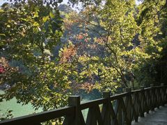 -广州市流溪河国家森林公园