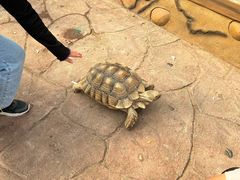 -长鹿旅游休博园