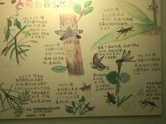 -上海昆虫博物馆