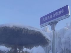 -长白山聚龙火山温泉