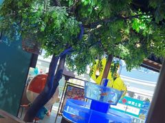 -佬麻雀·剁椒鱼头(京基KK One店)