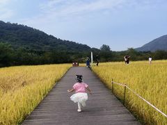 -艾米稻香小镇