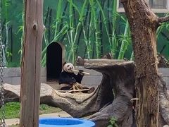 -南昌动物园